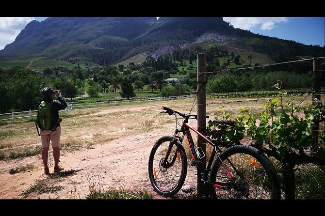 Stellenbosch Private E-Bike & Wine Tour - Zorgvliet Wine Estate: the first tasting