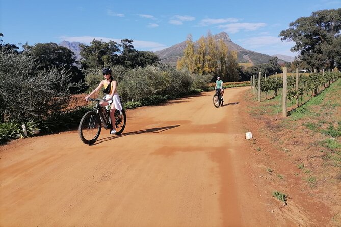 Stellenbosch Private E-Bike & Wine Tour - What the wine guide adds