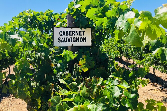 Stellenbosch Small Group Wine Tasting Tour From Cape Town - Delaire Graff: the polished highlight