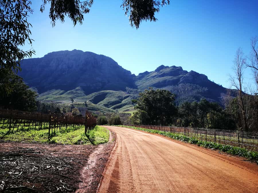 Stellenbosch: Stellenbosch E-Bike & Wine Tour (Shared Tour) - Starting at Banhoek Lodge on Helshoogte Road
