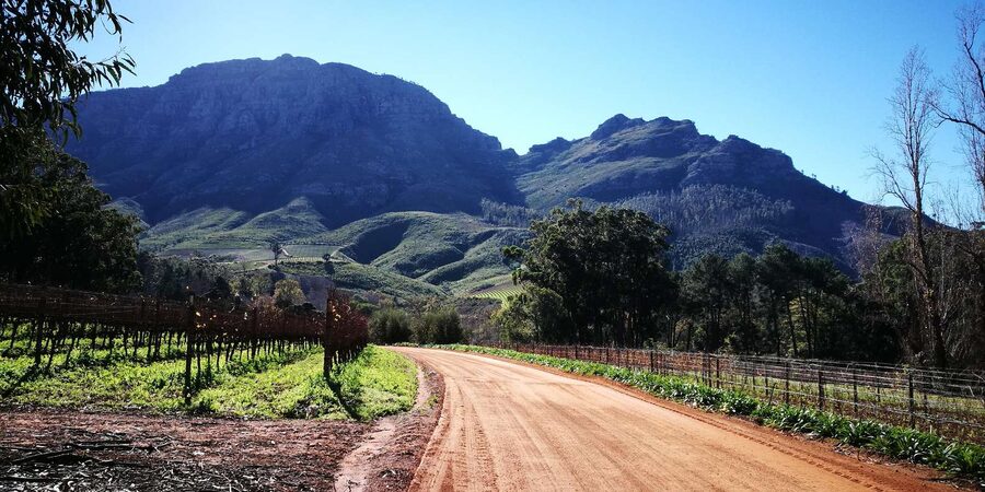 Stellenbosch: Stellenbosch E-Bike & Wine Tour (Shared Tour) - The second wine estate and the value of contrast
