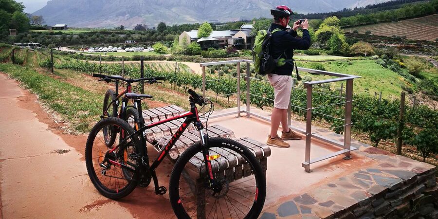 Stellenbosch: Stellenbosch E-Bike & Wine Tour (Shared Tour) - What the $118 price really covers