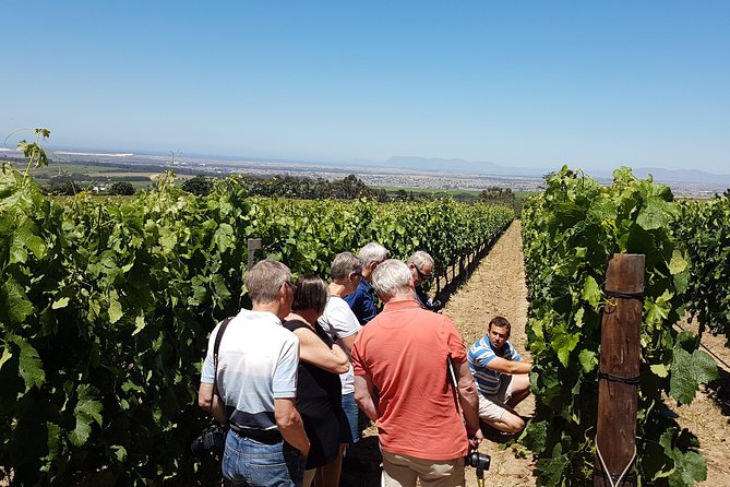 Stellenbosch Valley. Private wine tour with winemaker in Swedish or English. - A private start from Cape Town at 9:30 am