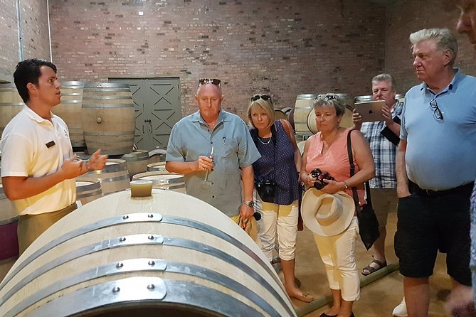 Stellenbosch Valley. Private wine tour with winemaker in Swedish or English. - Three estates, several approaches to winemaking