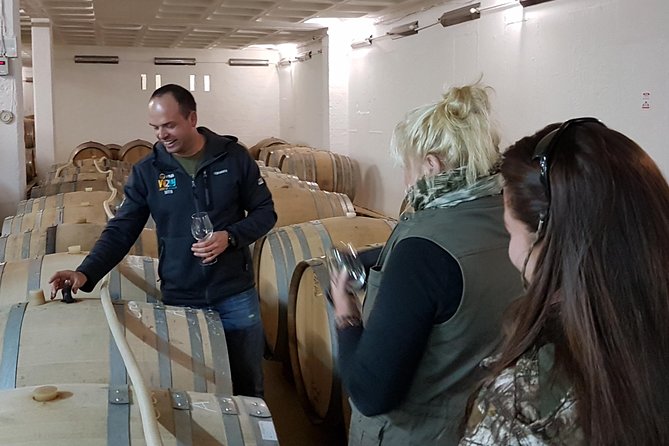 Stellenbosch Valley. Private wine tour with winemaker in Swedish or English. - Lunch is separate, but the pause matters