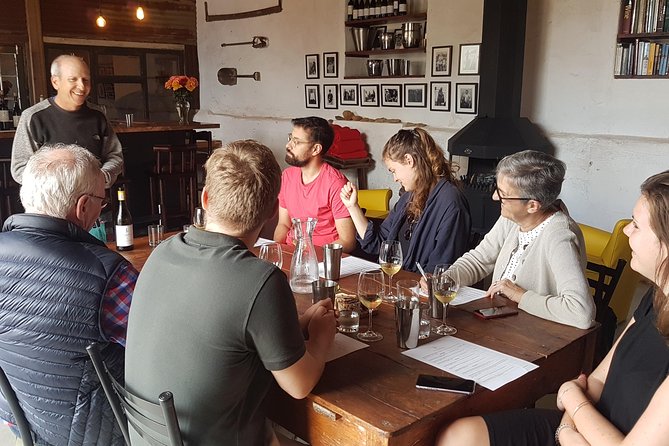 Stellenbosch Valley. Private wine tour with winemaker in Swedish or English. - Stellenbosch, Paarl, and Franschhoek in one day