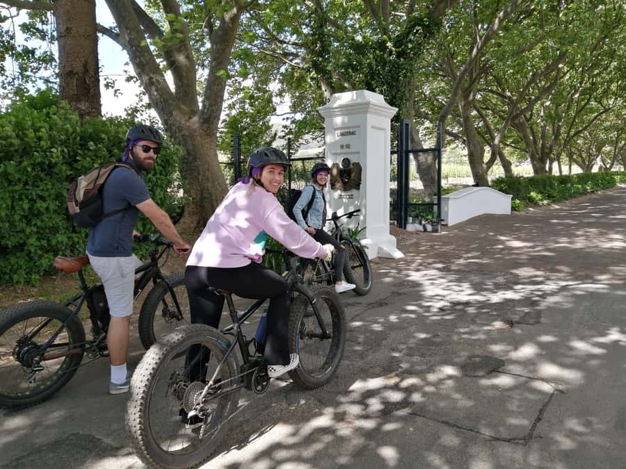 Stellenbosch: Wine Farm E-Bike Guided Tour - The first ride into Jonkershoek valley