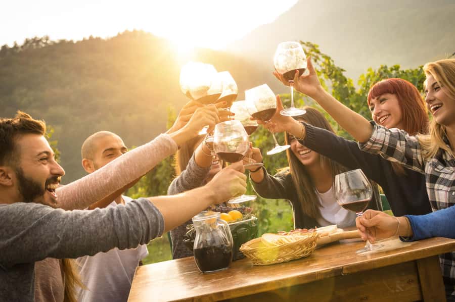 Stellenbosch: Wine Farm E-Bike Guided Tour - The first wine farm: tasting, photos, and shopping