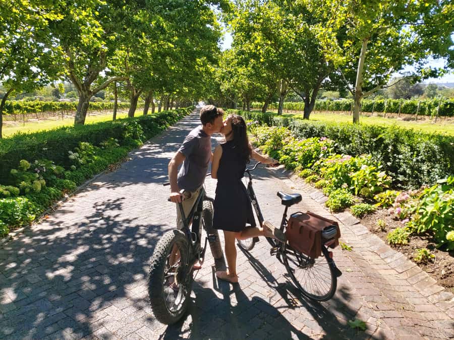 Stellenbosch: Wine Farm E-Bike Guided Tour - Starting at Lanzerac Wine Estate