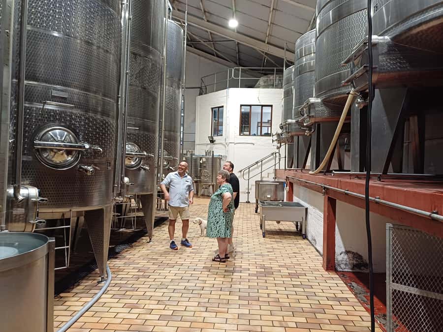 Stellenbosch wine tour, all inclusive of lunch and tastings. - Guides who make the difference