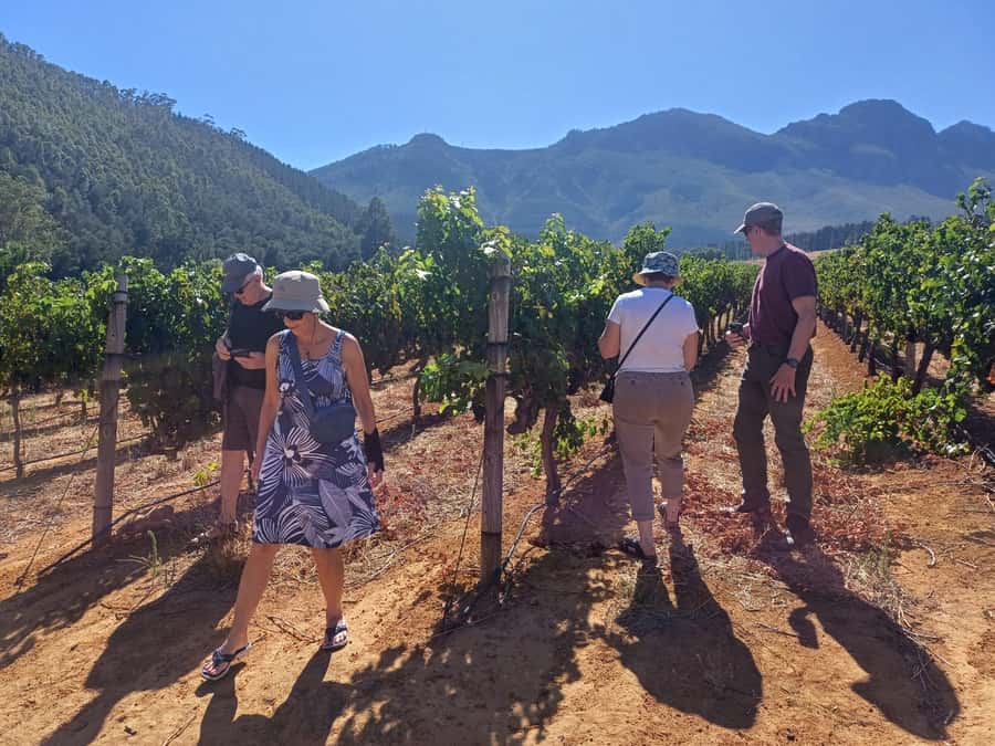 Stellenbosch wine tour, all inclusive of lunch and tastings. - Is $105 good value?