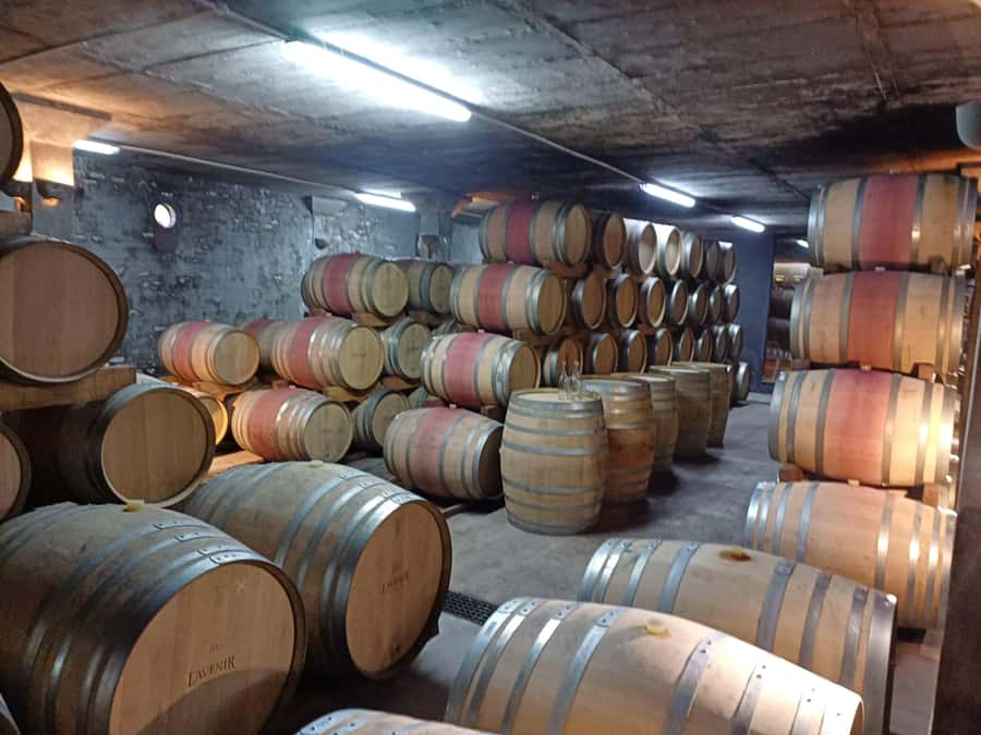 Stellenbosch wine tour, all inclusive of lunch and tastings. - What to bring and how to pace yourself