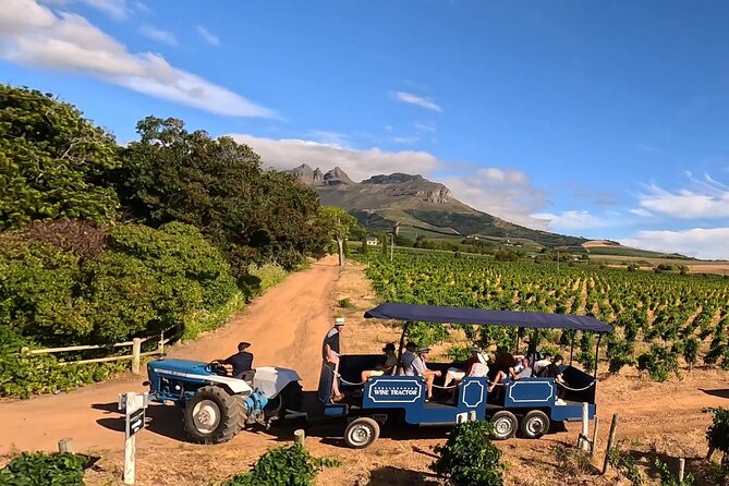 Stellenbosch Wine Tractor hop-on-hop off wine tasting tour - Quick take: what makes this tractor tour different