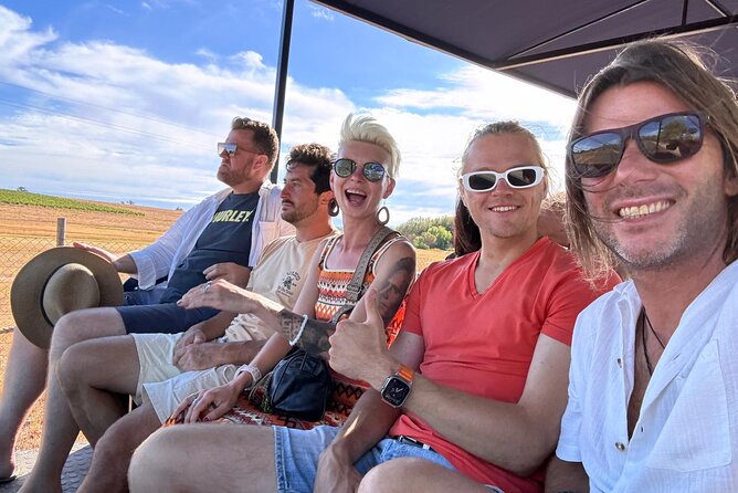 Stellenbosch Wine Tractor hop-on-hop off wine tasting tour - Group size, children, and the mood on board