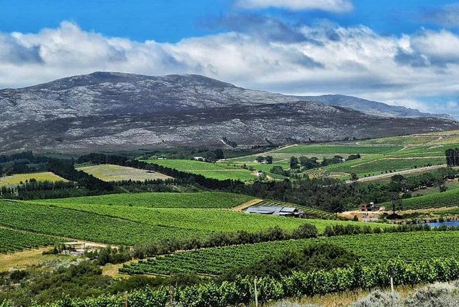 Stellenbosch Winelands Experience - Oldenburg and the value of staying awhile