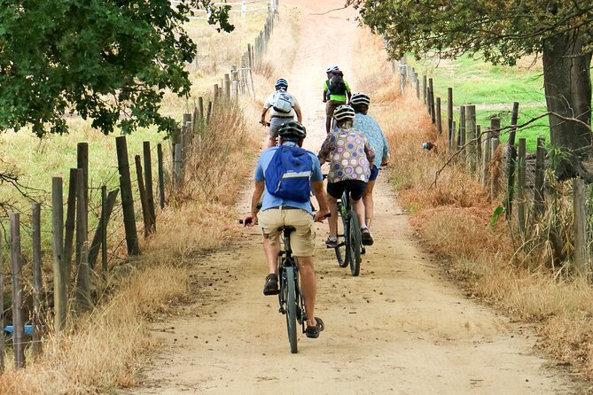 Stellenbosch Winelands Luxury EBike Tour © - Boschkloof Wines and the Smaller-Scale Stop