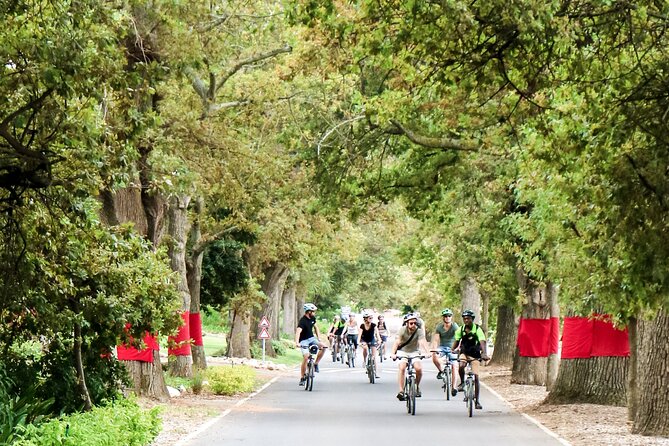 Stellenbosch Winelands Luxury EBike Tour © - De Waal Wines and Nine Generations of Winemaking