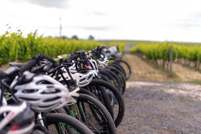 Stellenbosch Winelands Luxury EBike Tour © - What the Guides Add to the Experience