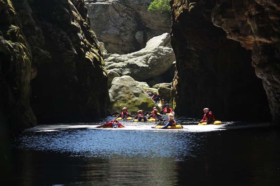 Storms River: Tsitsikamma National Park Blackwater Tubing - What this Tsitsikamma river trip really involves