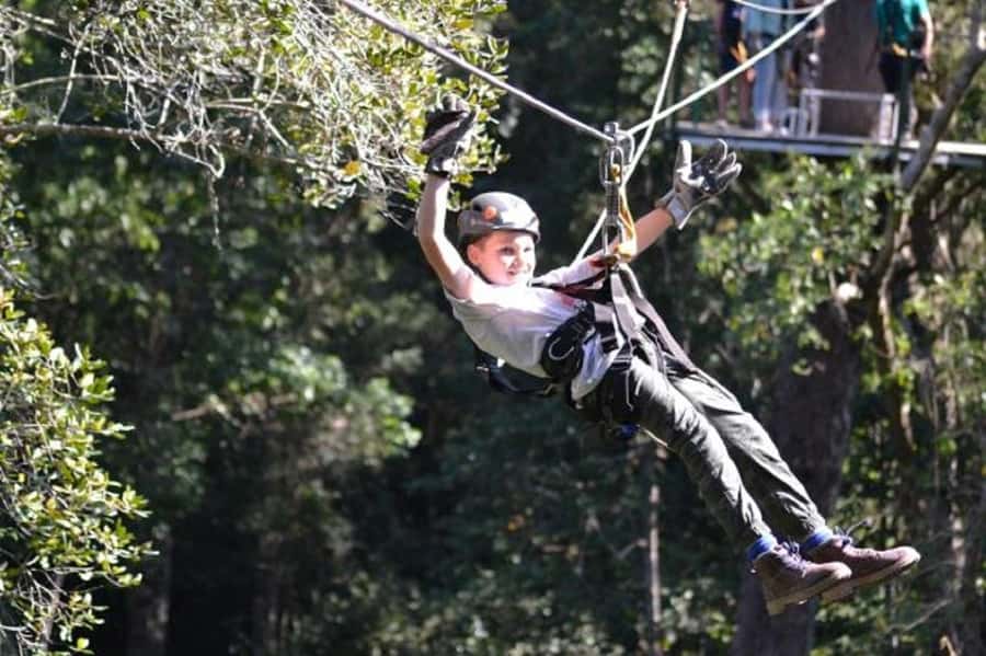 Storms River: Tsitsikamma National Park Zipline Canopy Tour - Starting in Stormsrivier and getting ready