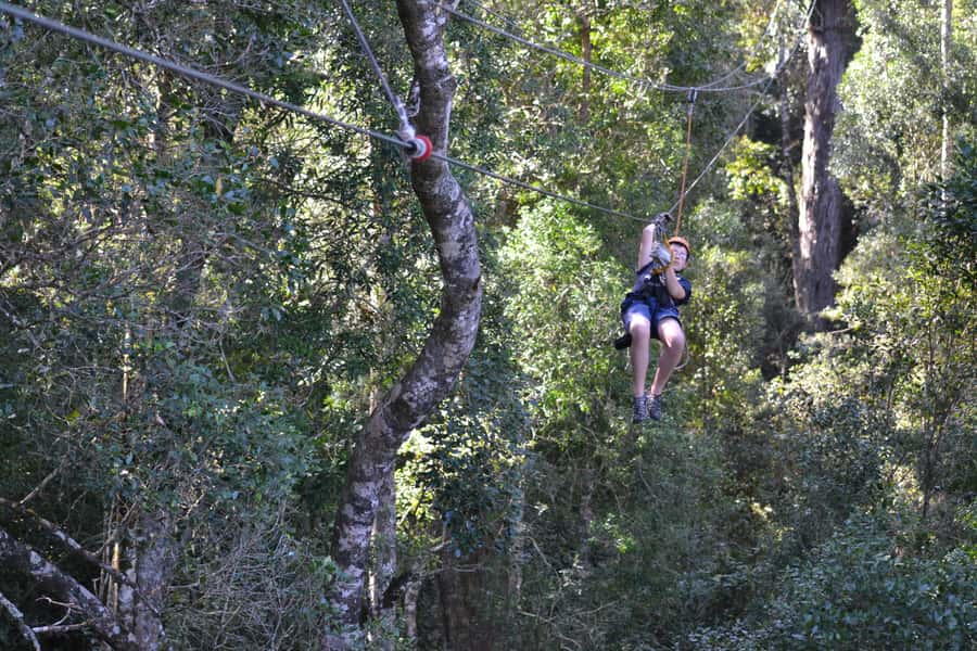 Storms River: Tsitsikamma National Park Zipline Canopy Tour - The forest walk after the final line
