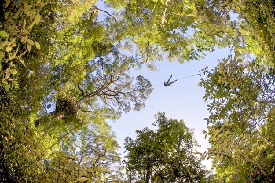 Storms River: Tsitsikamma National Park Zipline Canopy Tour - Is $55 good value?
