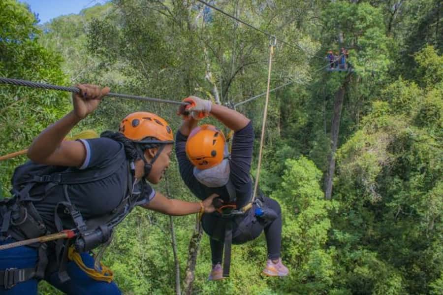 Storms River: Tsitsikamma National Park Zipline Canopy Tour - Who should book this canopy tour?