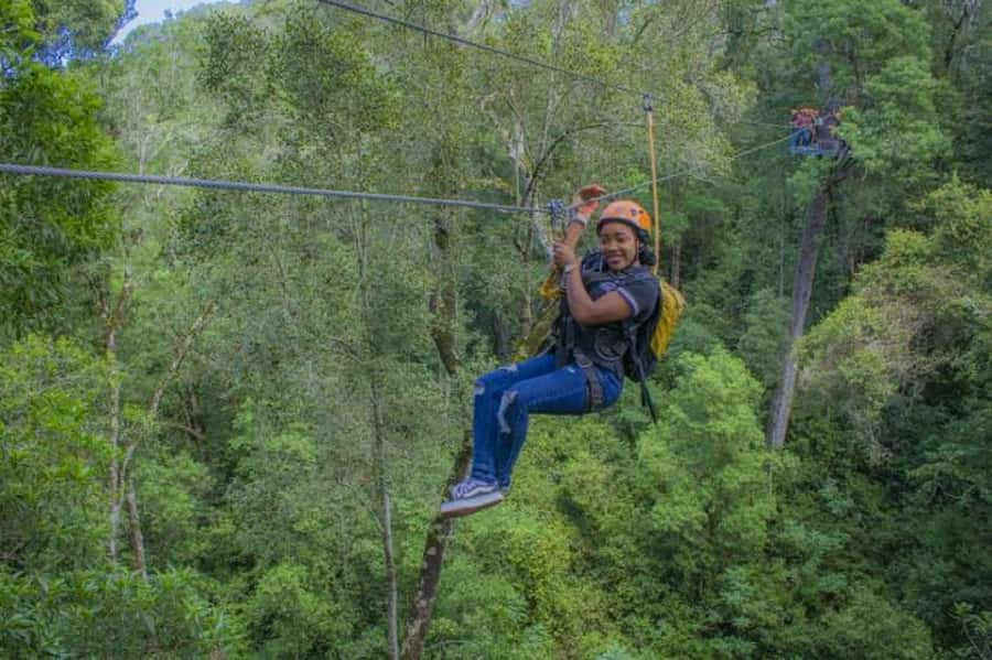 Storms River: Tsitsikamma National Park Zipline Canopy Tour - Should you book the Tsitsikamma canopy tour?