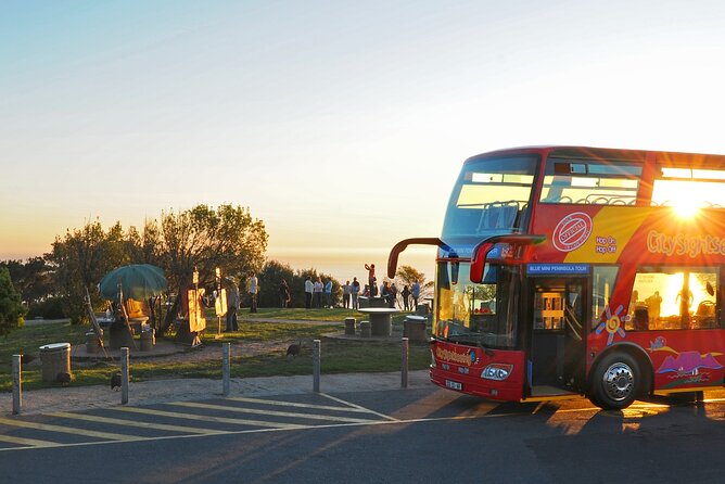 Summer Sunset Bus Tour in Cape Town - Starting at the Victoria & Alfred Waterfront