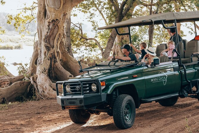 Sunrise Game Drive in Big5 Reserve - Key points to know before booking