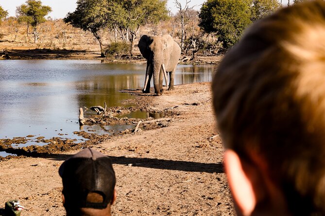 Sunrise Game Drive in Big5 Reserve - Why sunrise works so well in Hoedspruit