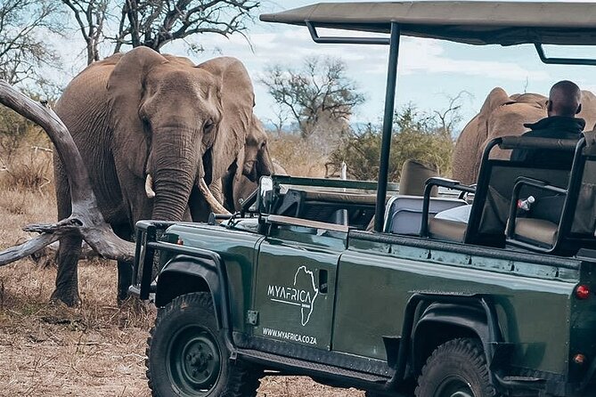 Sunrise Game Drive in Big5 Reserve - How the four-hour schedule feels