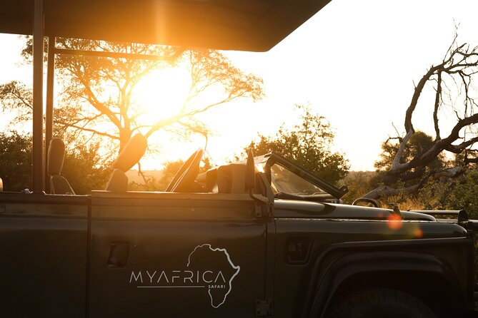 Sunrise Game Drive in Big5 Reserve - What the $72.41 price really covers