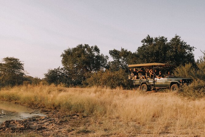 Sunrise Game Drive in Big5 Reserve - Who will enjoy this morning most