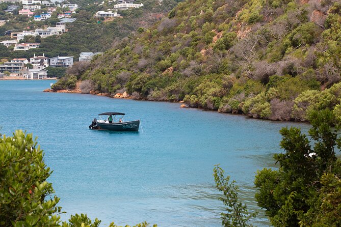 Sunset Boat Cruise on Bella Vita Champagne Lounger - Who should book this cruise?
