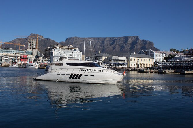 Sunset & Champagne Cruise for 2 pax on TIGGER 2 ( Guaranteed departure ) - Clifton 4th Beach or Table Bay, chosen by weather