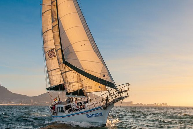 Sunset Champagne Cruise from Cape Town - Wildlife sightings are a bonus, not the main promise