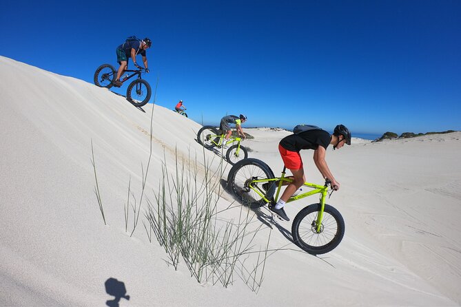 Sunset Fatbike Dune Experience - The Fynbos Trail Comes First