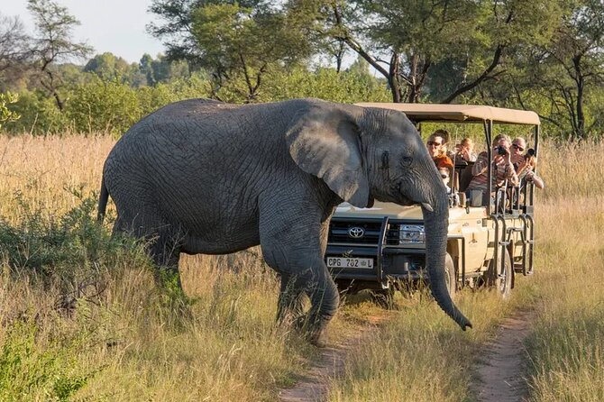 Sunset Safari Big 5 Aquila with Snacks and Wine Tasting - Key points at a glance