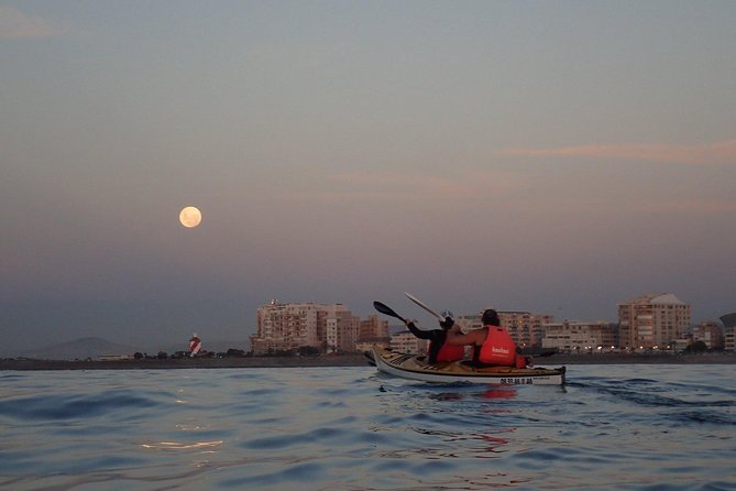 Sunset Session - Haviside’s dolphins and the limits of wildlife watching