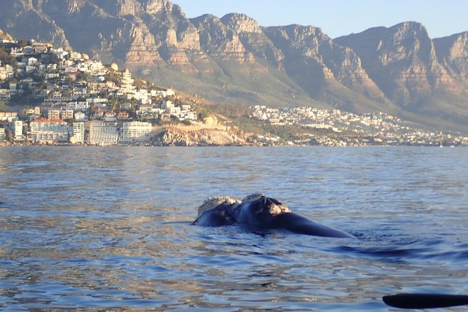 Sunset Session - Is $29 good value for this Cape Town outing?