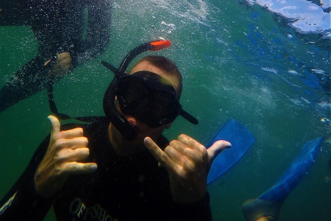 Swim with Seals - A few smart ways to prepare