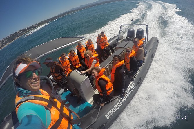 Swim with Seals - What the swim feels like in open water