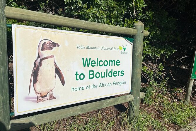 Table Mountain and Penguins Half Day Shared Group Tour - Why this Cape Town half-day tour works