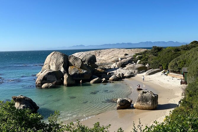 Table Mountain and Penguins Half Day Shared Group Tour - Boulders Beach is the wildlife payoff