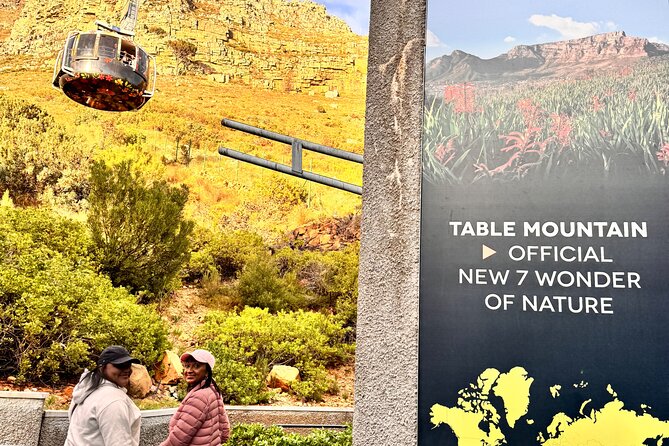 Table Mountain and Penguins Private Half Day Tour - What this private Cape Town tour is really designed to do