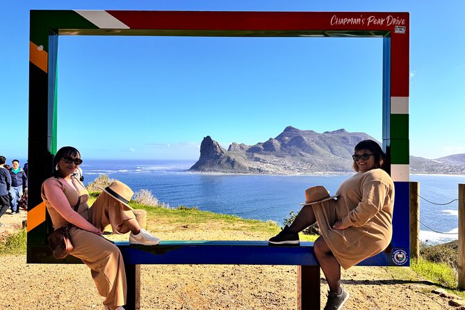 Table Mountain and Penguins Private Half Day Tour - Table Mountain: the tour’s biggest ticket decision