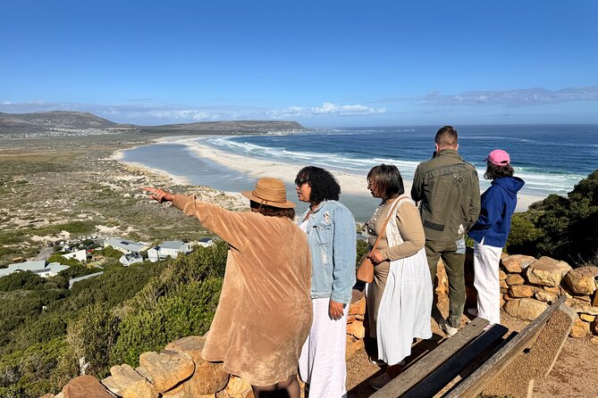 Table Mountain and Penguins Private Half Day Tour - Boulders Beach and the African penguin colony