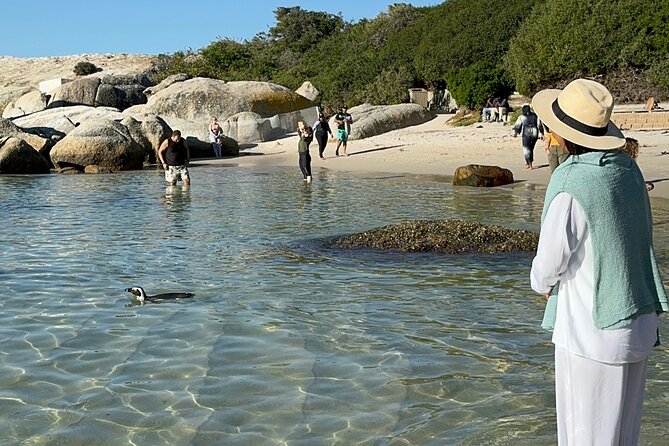 Table Mountain and Penguins Private Half Day Tour - Muizenberg Beach and the final photographs