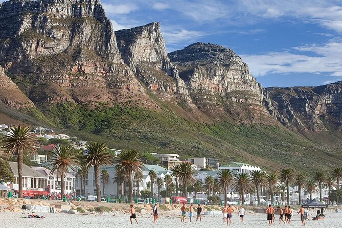 Table Mountain Boulder's Beach and Cape Point - Cape Point Vineyards adds a tasting pause